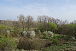 DSC01930