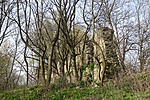 DSC01937