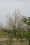 DSC02116