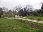 IMG_0050