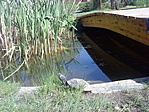 DSC06121