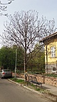 20160405_154333