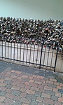 20160216_102839[1]