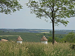 zavod (6)