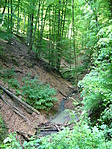 Kidőltek