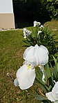 2016-05-22 10.08.48R