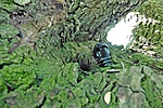 P1050484