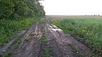 20160516_192520_resize