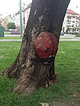 2016-05-15 16.46.26