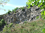 DSCF0212