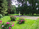 Rózsák a kertben
