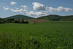 _DSC2648