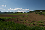 _DSC2649