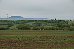 _DSC2717