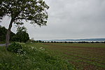 _DSC2715