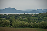 _DSC2719