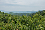 _DSC2949