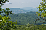 _DSC2950