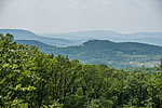 _DSC2958
