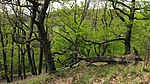IMG_6047
