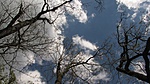 IMG_6056