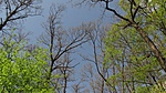 IMG_6034
