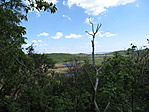 IMG_8291