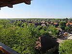 IMG_8726