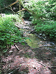 IMG_9082 másolata