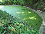 IMG_9086 másolata