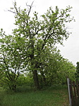 IMG_9560