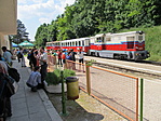 IMG_9648