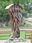 IMG_9780