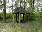 P5010047