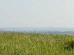 P5220060