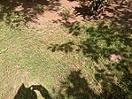 DSC00001