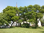 DSC00007