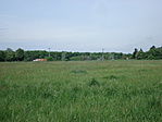 DSC00781