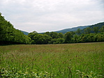 DSCF0092