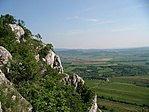 DSCF0233