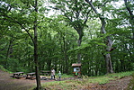 DSC06218