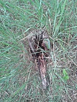 20160524_103518
