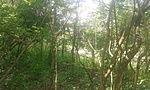 20160508_133848