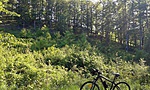 20160506_090330