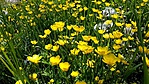 tmp-cam-1645912712