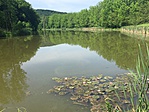 IMG_3517