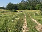 IMG_3609