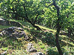 IMG_3592