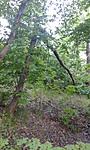 20160507_192931