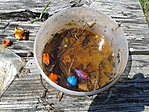 20160526_113431